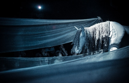 Сказка с закрытыми глазами. Ёжик в тумане