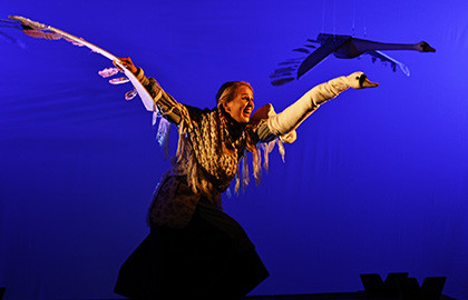 Гадкий утенок