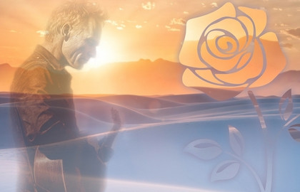 Sting «Desert rose symphony»