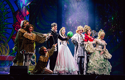 Принцесса на горошине