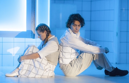 Принцесса и Пьер