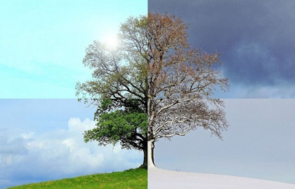 Времена года.  Вивальди. Пьяццолла