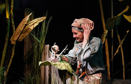 Гадкий утенок