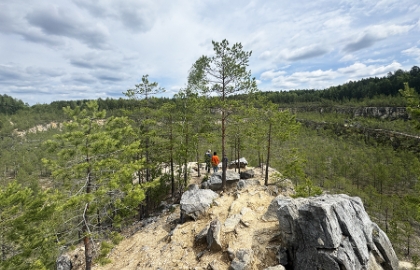 На цветение Северных Орхидей в скалы Дюки
