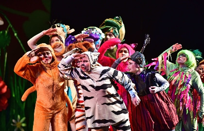 Муха-Цокотуха и её друзья