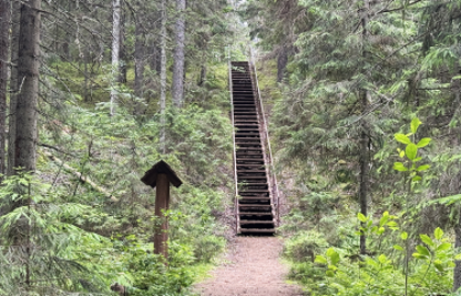 По большой Валдайской тропе 