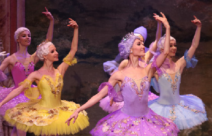 Балет детский "Спящая красавица"