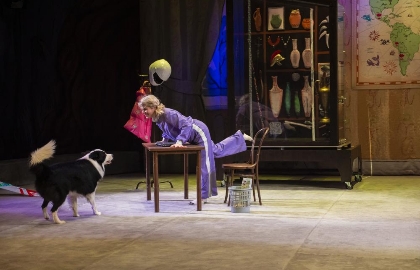 Каникулы Джинна