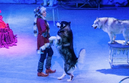 По следам Снежной Королевы