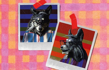 Три поросёнка. Ой