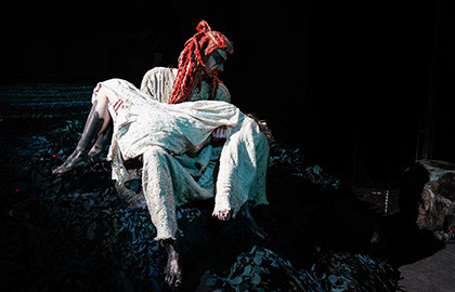 Белая уточка