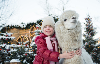 Городская ферма на ВДНХ
