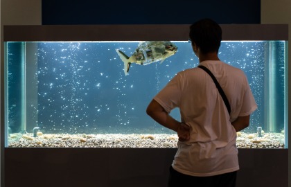 Робостанция