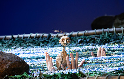 Белая уточка