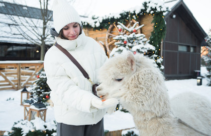 Городская ферма на ВДНХ