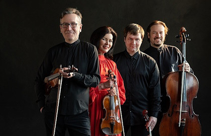 Чешские страницы