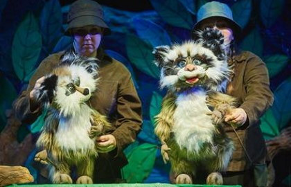 Cцена из «Крошка Енот»