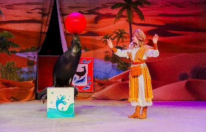 Полёт в страну мечты