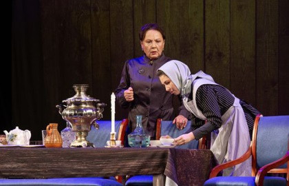 Cцена из «Васса Железнова»