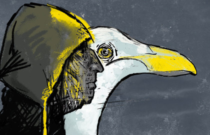 Чайка по имени...