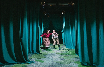 Поющий поросёнок