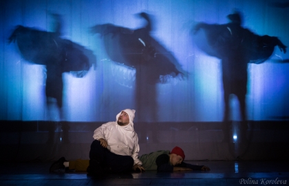 Путешествие Нильса с дикими гусями