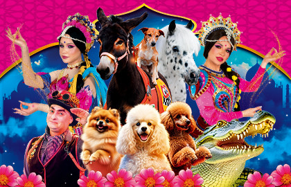 Московский цирк-шапито «Кудзинов»