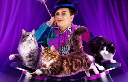 Волшебные кошки