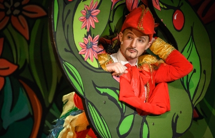 Сокровища волшебного леса