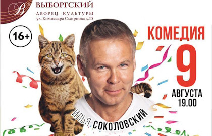 Три плюс кот