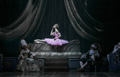 Спящая красавица (на сцене театра «Геликон-Опера»)
