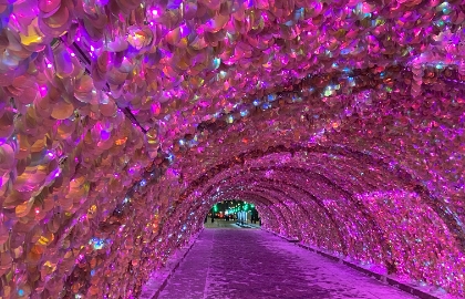 Огни Новогодней Москвы с Дедом Морозом или Снегурочкой