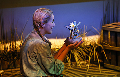 Гадкий утенок