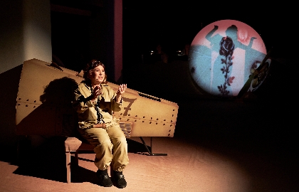 Маленький принц. Полёт в одном действии