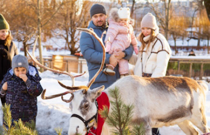 Новый Год на ферме. Резиденция Деда Мороза