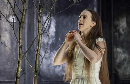 Cцена из «Мадам Бовари»