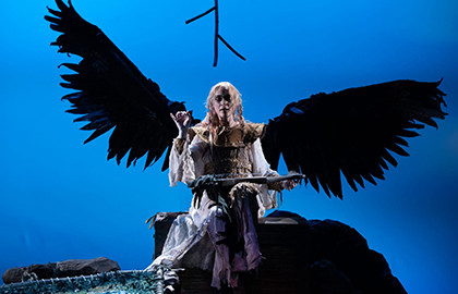 Белая уточка