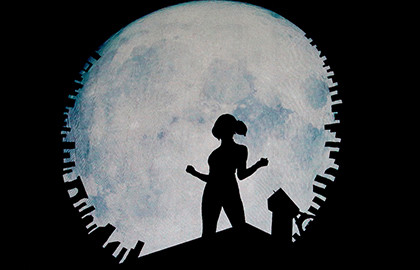 Леди Баг и Супер Кот