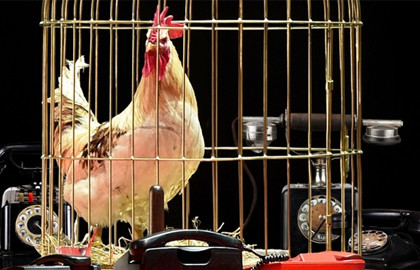 Cцена из «Золотой петушок»