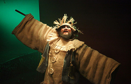 Дневник Элли (Изумрудный город)