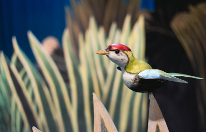 Scene from «Рикки-Тикки-Тави»