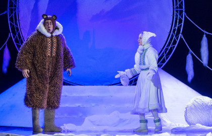 Маленькая Метелица