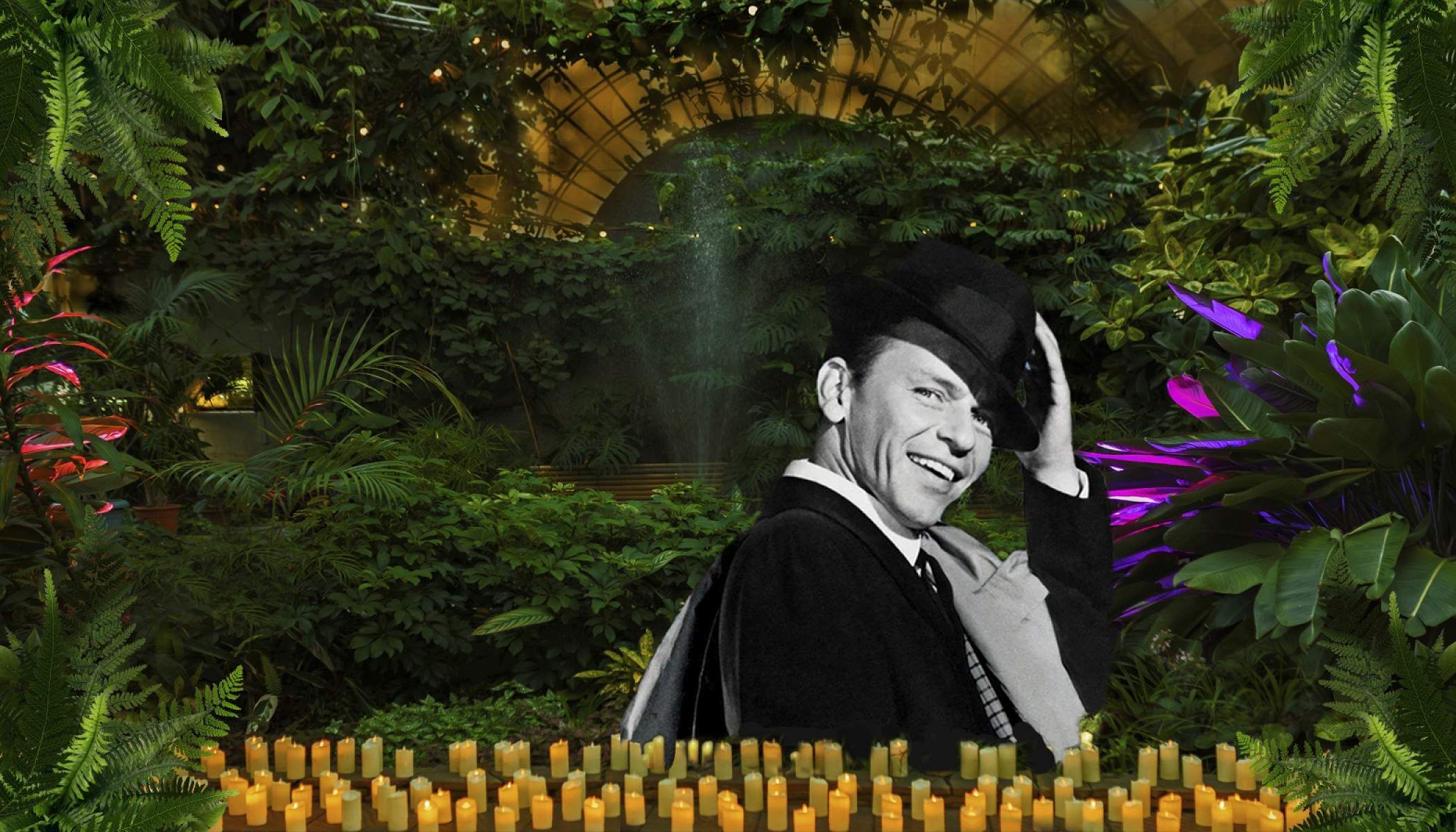 Магия свечей. Frank sinatra. Джаз в оранжерее