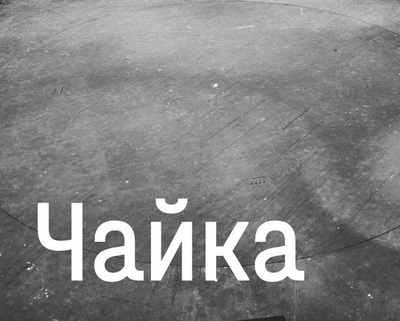 Чайка