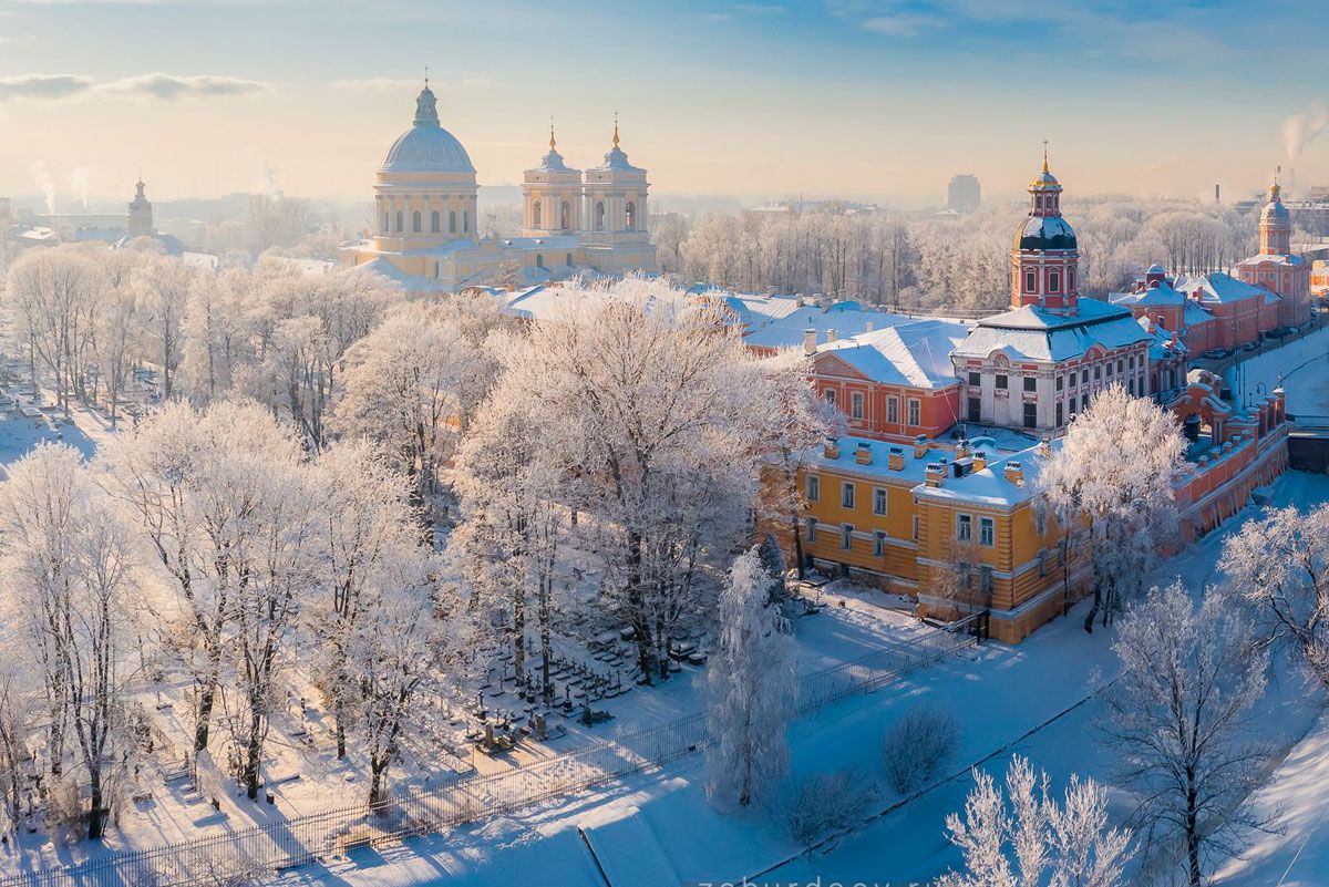 Летучая мышь